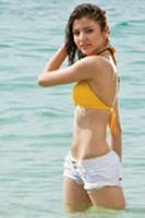 Actress Bollywood Hottest Bikini